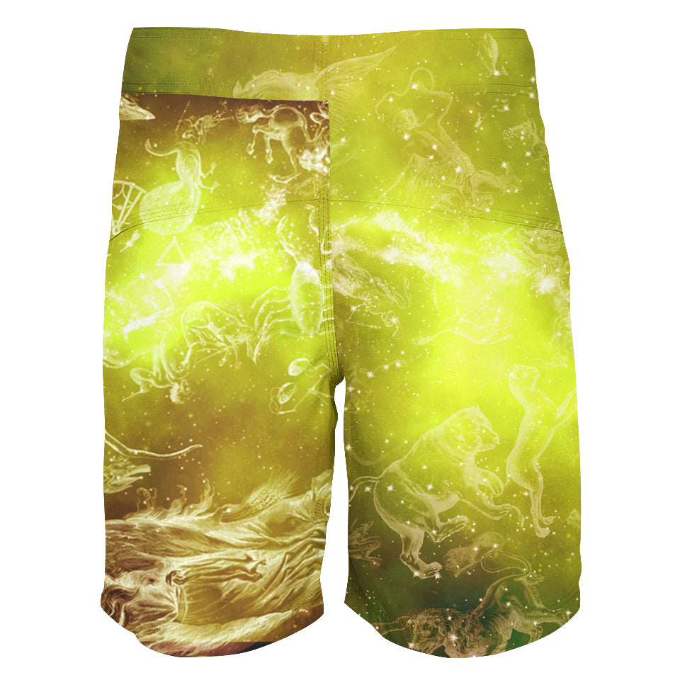 Boardshorts Gemini Boardshorts