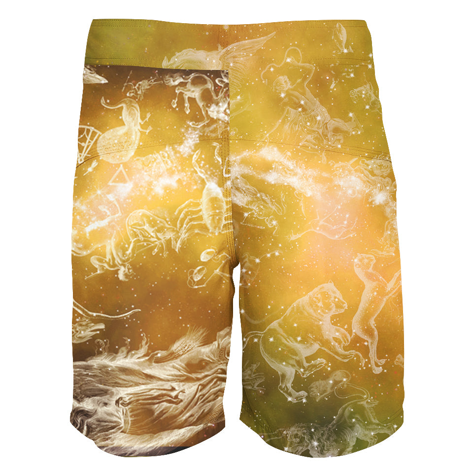 Boardshorts Leo Boardshorts