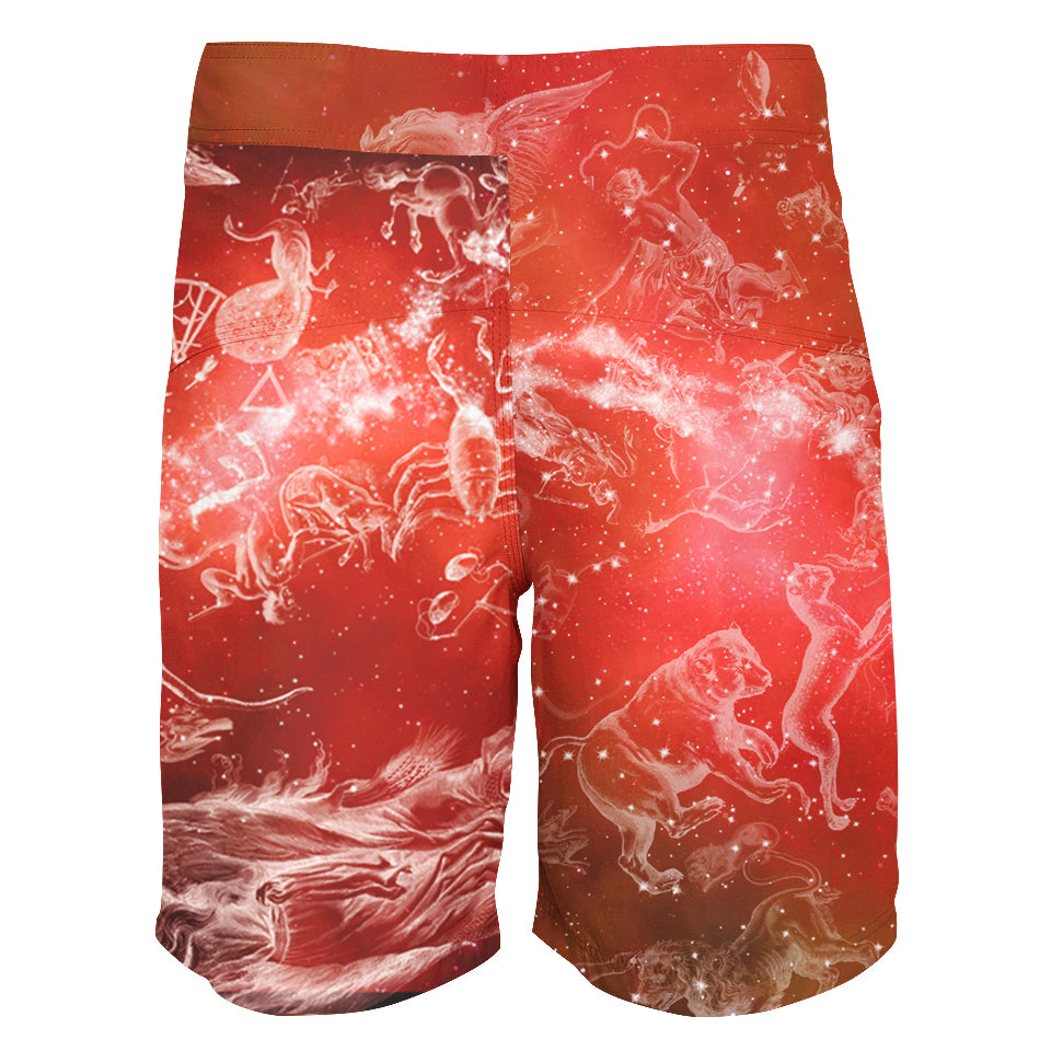Boardshorts Aries Boardshorts