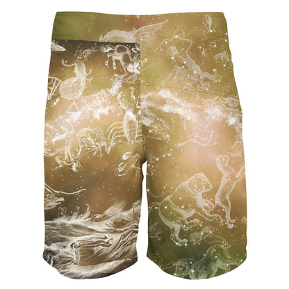 Boardshorts Virgo Boardshorts